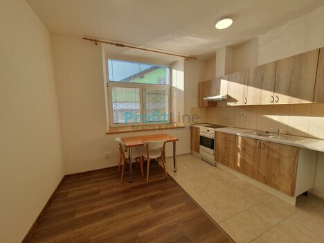 Pronájem bytu 3+kk, 57 m2, Sudkov