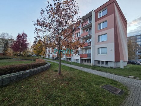 Podnájem bytu 2+1, 54 m2, Mohelnice, ulice Ztracená