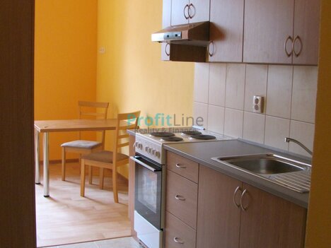 Pronájem bytu 1+kk, 41 m2, Sudkov
