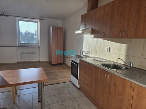 Pronájem bytu 1+kk, 41 m2, Sudkov