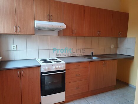 Pronájem bytu 2+1, 50 m2, Sudkov